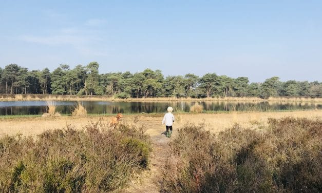 Verdriet zonder handleiding